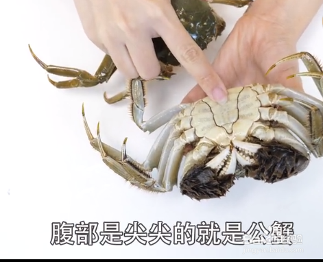 如何挑选大闸蟹才是最新鲜的？