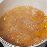 蜜糖金桔怎么做