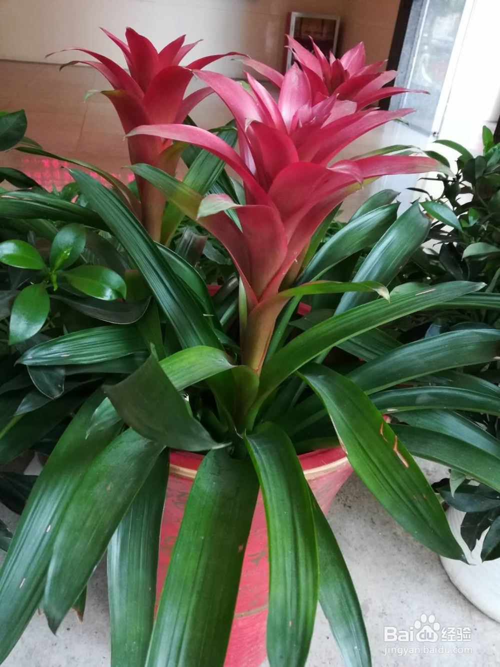 怎样有效防治失眠？