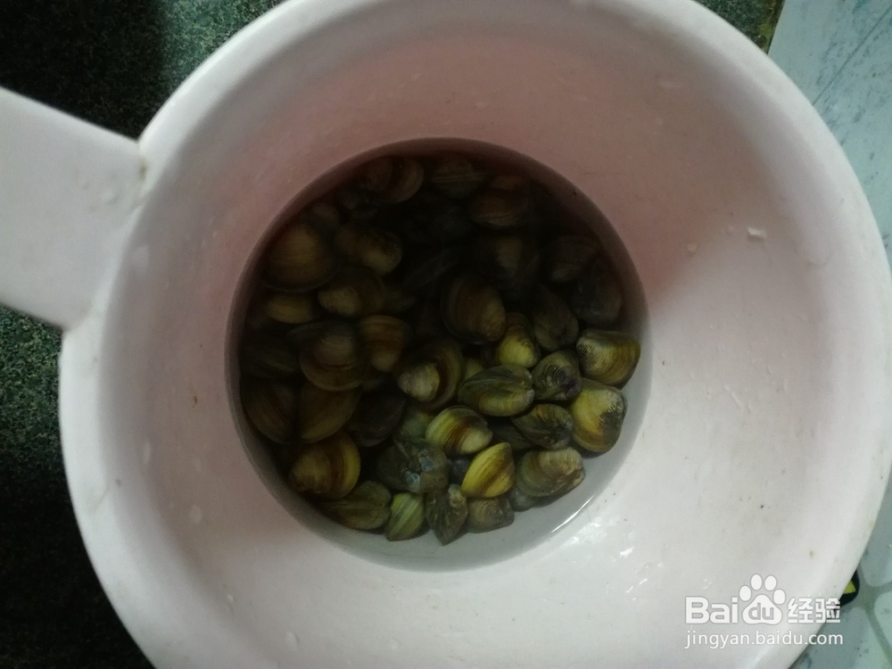 蚬子清汤怎么做呢