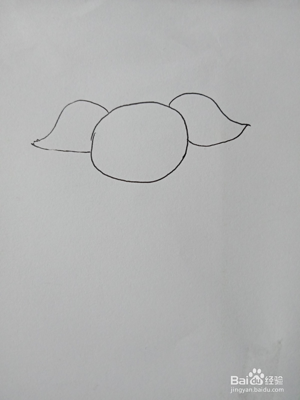 小猪猪的头简笔画