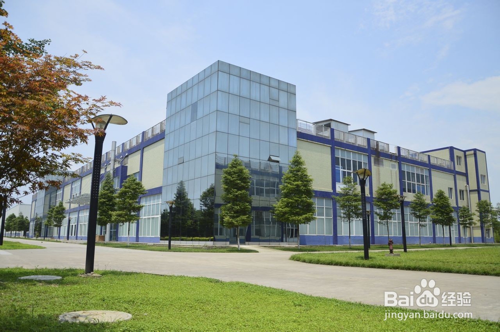 公司网站如何建设