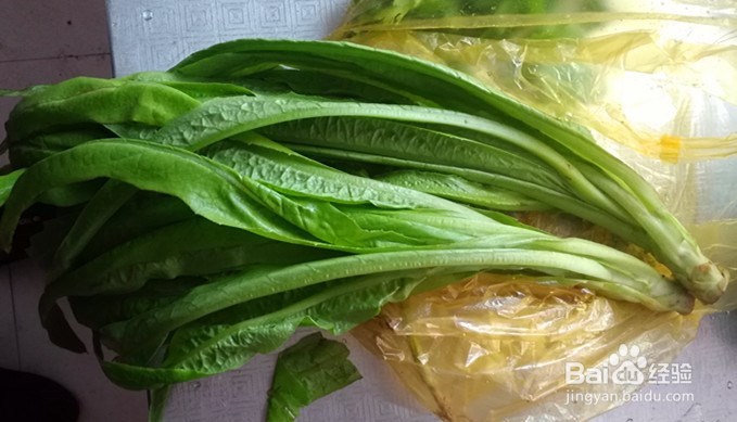 蒜蓉油麦菜—超简单做法