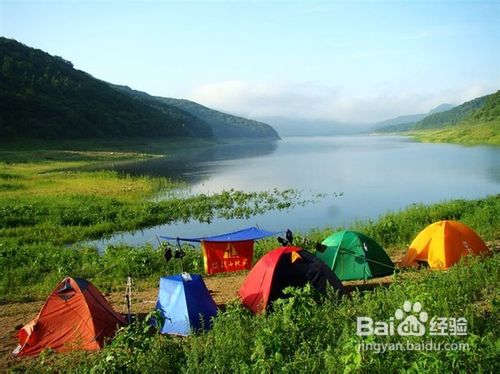 荒野中怎样快速寻找栖息地