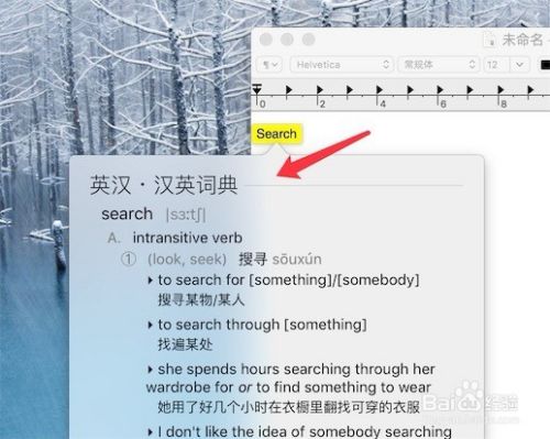 Mac 自带翻译功能 使用介绍 百度经验