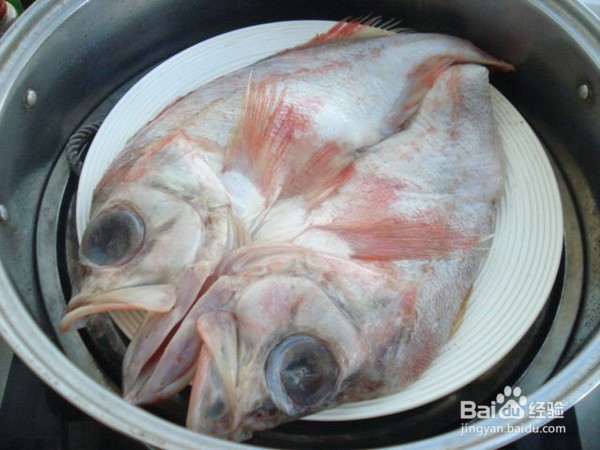 如何制作清蒸冰岛红鱼
