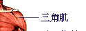 锻炼肌肉的方法