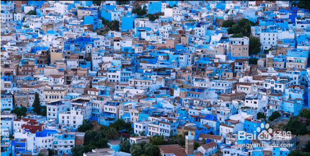 土耳其恋猫之国月落星沉你是黎明时分的光。