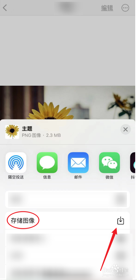 苹果手机抠图后怎么保存