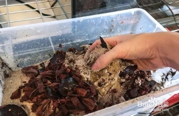 怎么制作原生缸