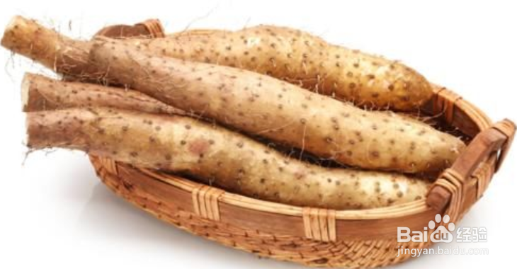 冬季养生哪些食物好