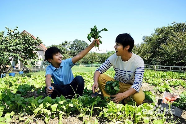 别强迫孩子做这3件事 有害无益