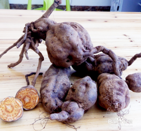 何首乌养生的几个注意事项?