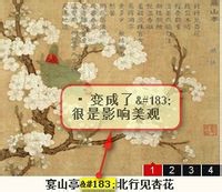 pageadmin v3.0幻灯标题转码处理及数据库改名