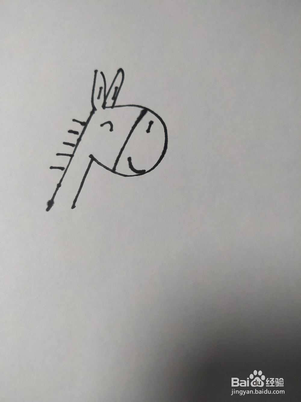 毛驴的简笔画技法4