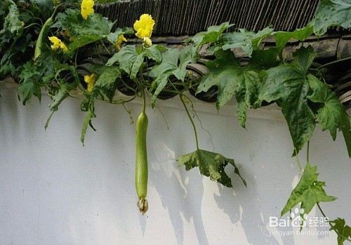 治鼻炎药有什么