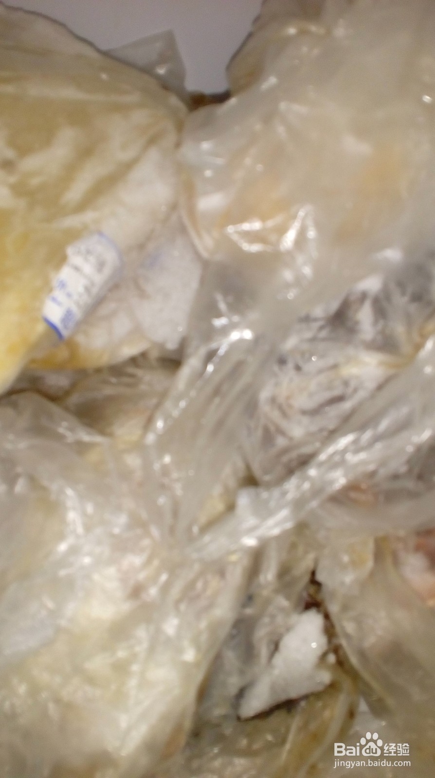 垂钓大型鱼使用的饵料