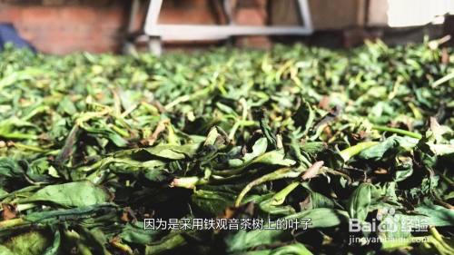 因為是採用鐵觀音茶樹上的葉子製作而成的茶,所以取名為鐵觀音