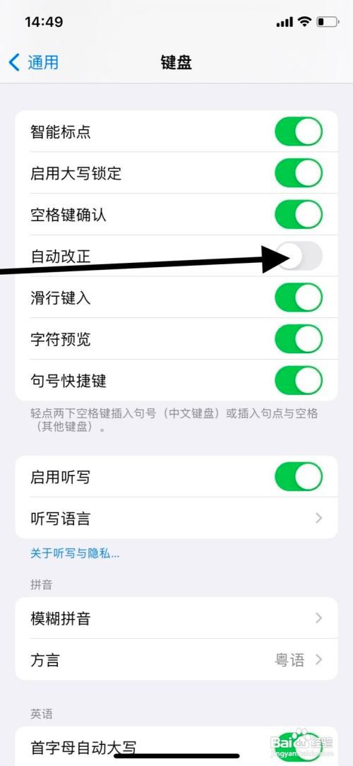 iPhone系统键盘怎样打开“自动改正”功能？