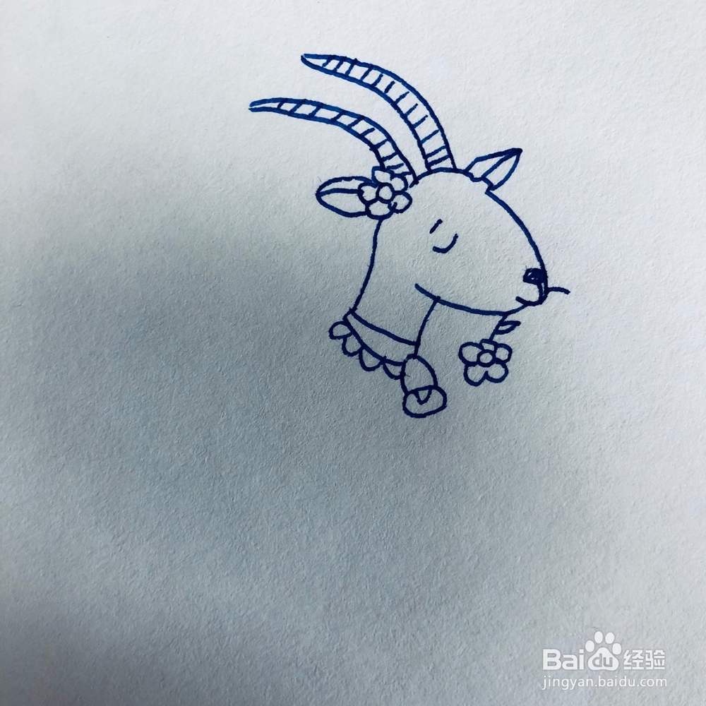 田野里戴铃铛的小山羊简笔画绘画