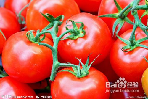 你所不知道5种养胃食物