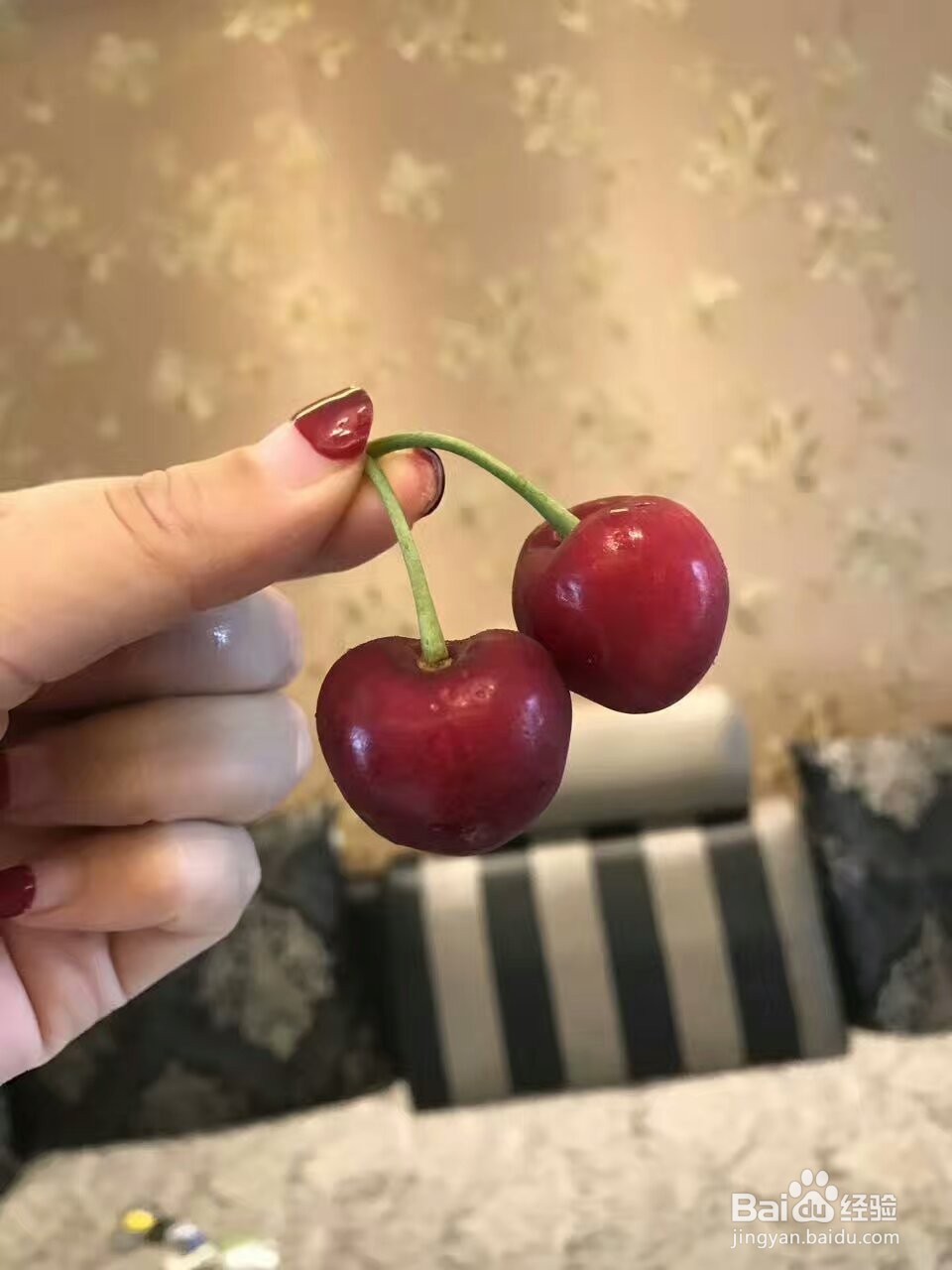 樱桃烘干机大樱桃热泵烘干机真的好用哦!