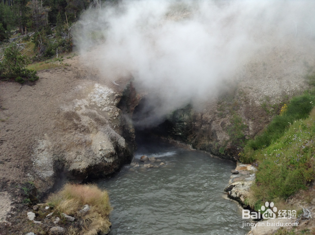 美国黄石公园旅游注意事项