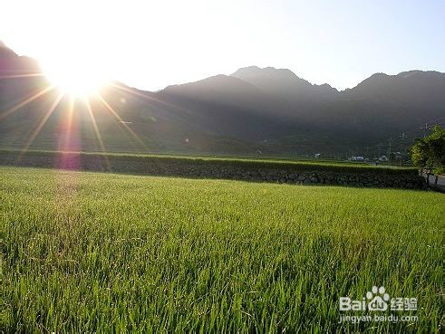 如何判断地理方向？