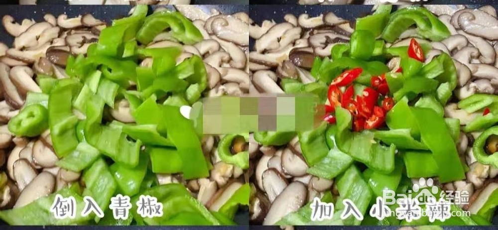 蚝油香菇油菜的做法
