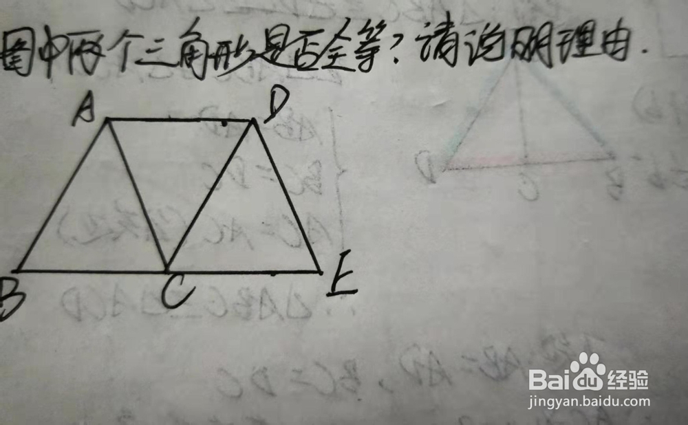 判定三角形全等（SAS）例一