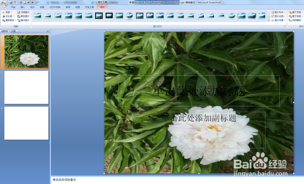 如何将电脑图片设置为PPT背景图？