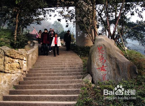 春季重庆踏春好去处