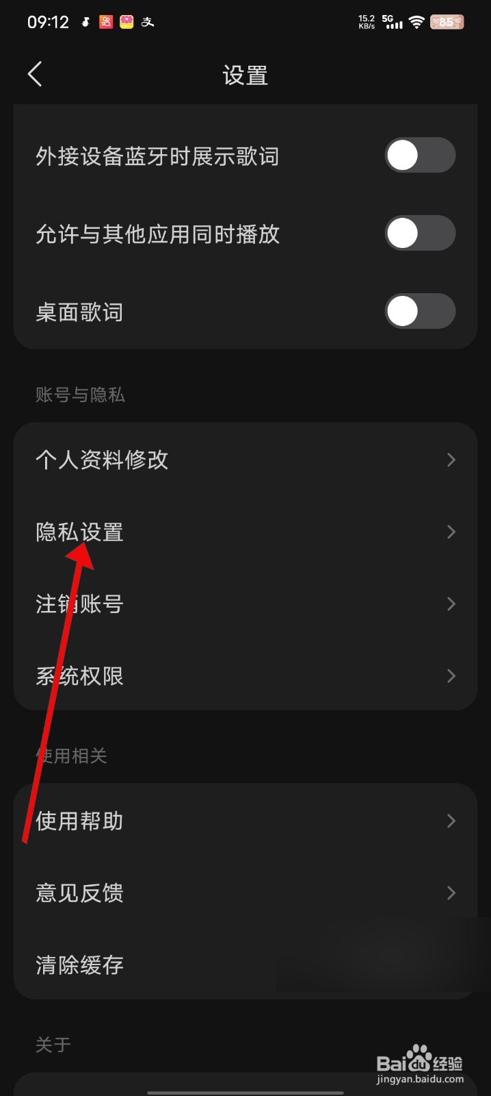 汽水音乐怎么关闭展示个性化广告