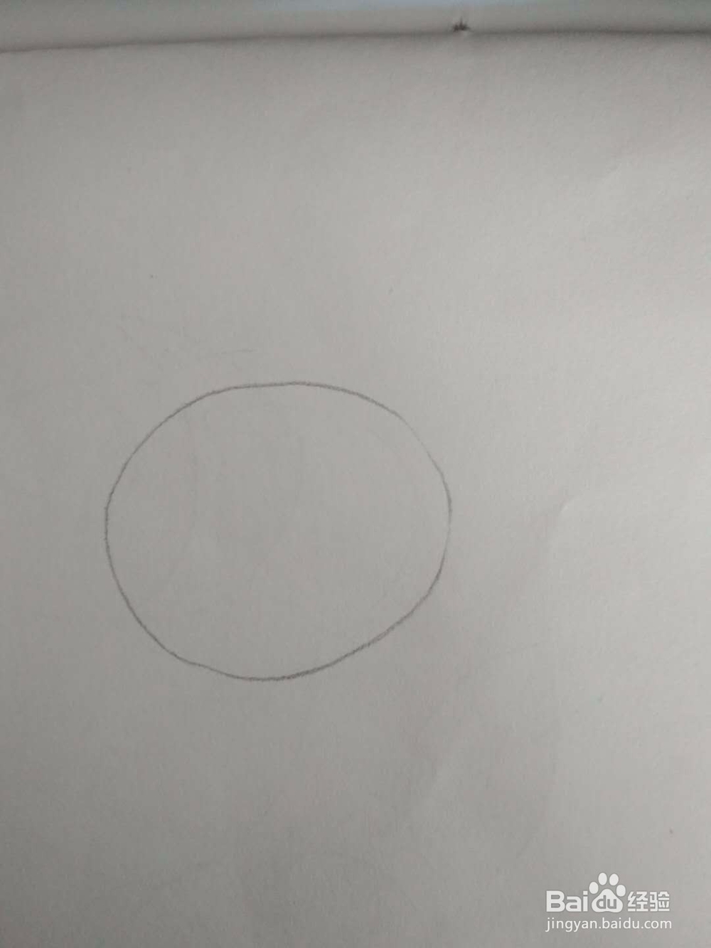 多妈简笔画动物一只可爱的小白兔