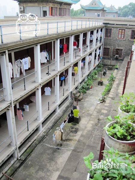 游.武汉——国立武汉大学