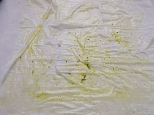 芝士千层肉卷的做法