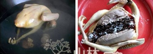 胡椒根鸽子汤怎么做