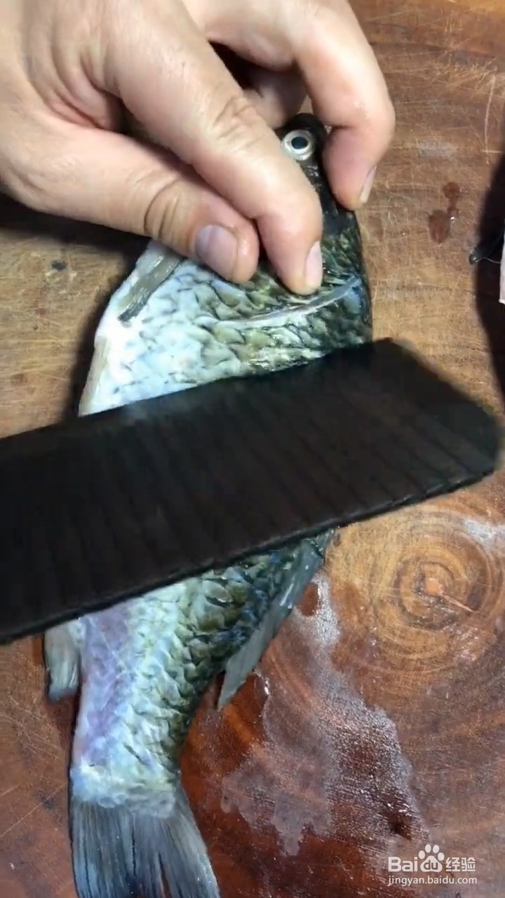 如何制作好吃的红烧鲫鱼