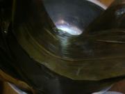 端午粽飘香——小米红枣粽