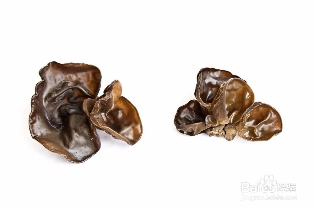 黑木耳怎么挑选？有什么食疗功效？