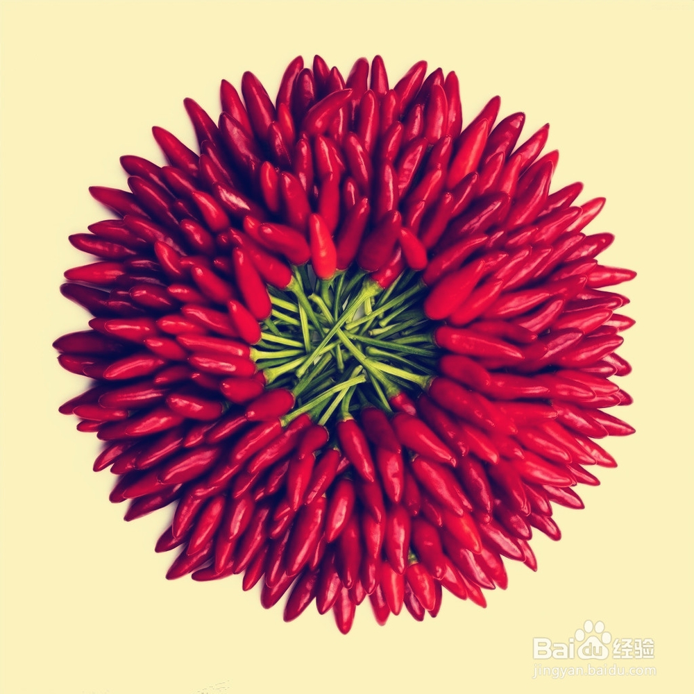 不能在一起吃的食物2