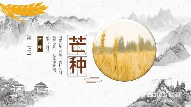 《蚂蚁新村》麦黄农忙秀女出房