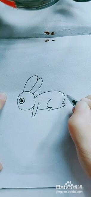 如何画简笔画小兔