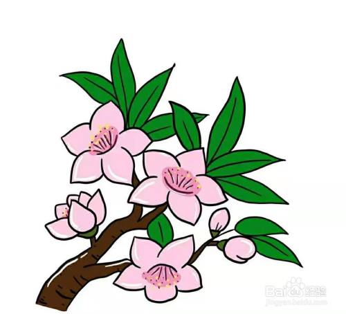 桃花的画法简单又漂亮