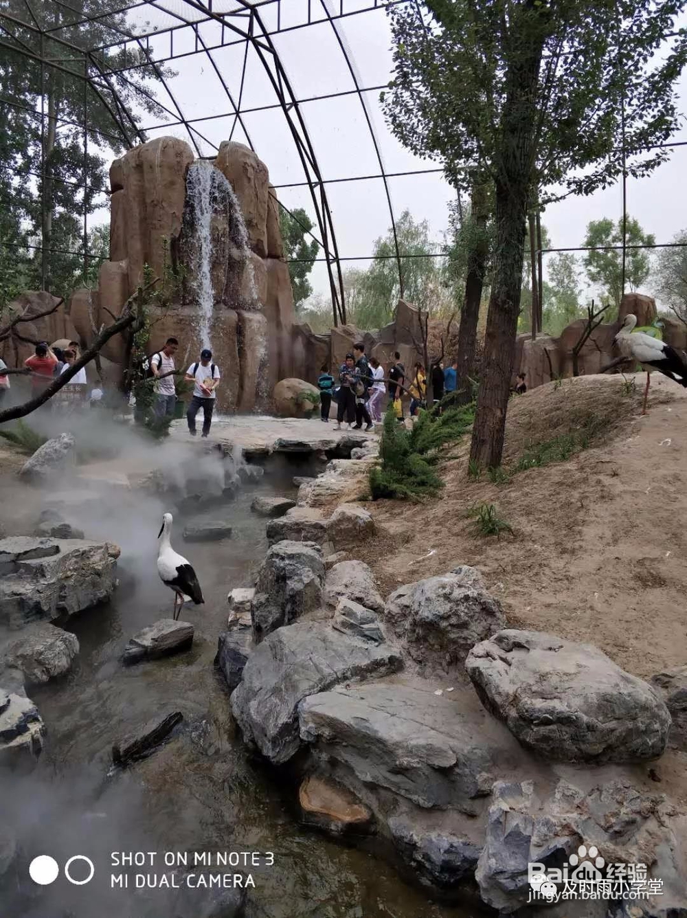 北京野生动物园一日游