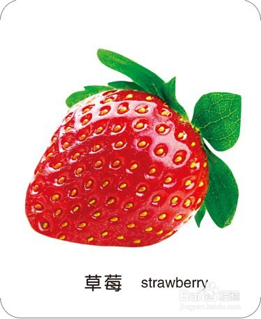 怎样使用识图卡片教小宝宝认物