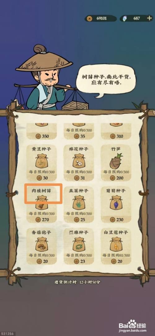 仙山小农如何购买肉桂树苗
