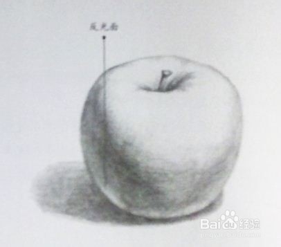 素描初学者必须要掌握的物体：苹果