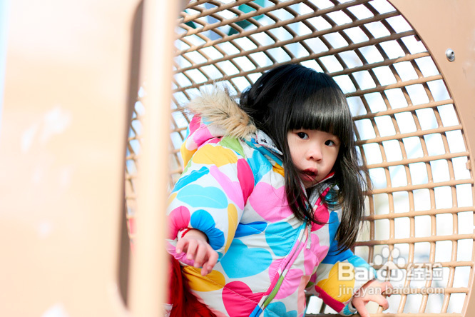 美国社区儿童乐园钻猪笼(组图)