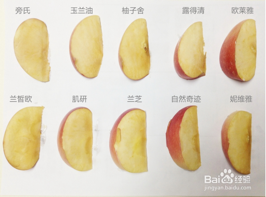 10款美白乳液大PK